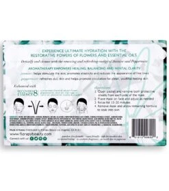 Detox Aromatherapy Sheet Mask 5 Count, Jasmine Peppermint -TYR Shop 6611788660904 3