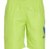 Nike Boys' Octologo 15" Volley Short (Little Kid) -TYR Shop 7187161514152 atomicgreen 1a