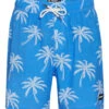 Men's 17" Palmlaza Printed Swim Trunks -TYR Shop 7456071647400 blue 1a