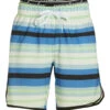 Men's Blue Stripe Swim Trunks -TYR Shop 7492619174056 blue 1a